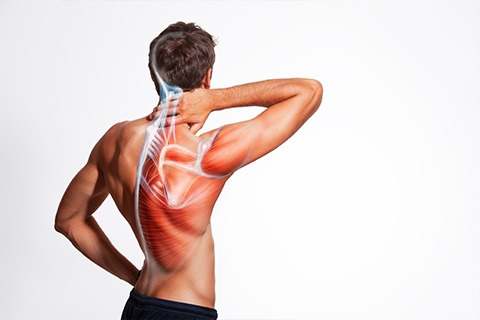 Seek an Appointment with Experience Neck Pain Specialist Doctor for Neck Muscle Sprain