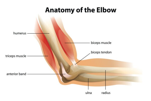 CAUSES OF ELBOW PAIN