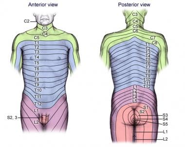 The sacro-iliac joint: A potentially painful enigma. Update on the