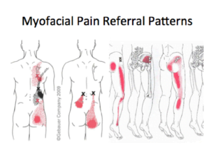 Sacroiliac Joint,