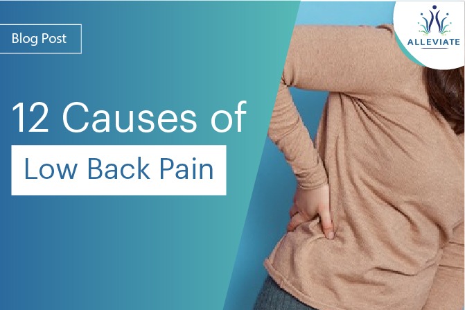 <span>12 Causes of Low Back Pain</span>