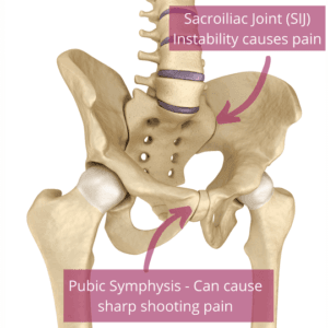 Sacroiliac Joint SIJ