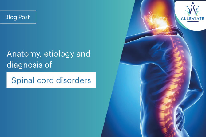 <span>Anatomy, etiology and diagnosis of ‘spinal cord disorders’</span>